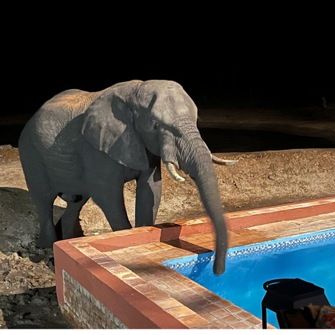 620 pixels placeholder image